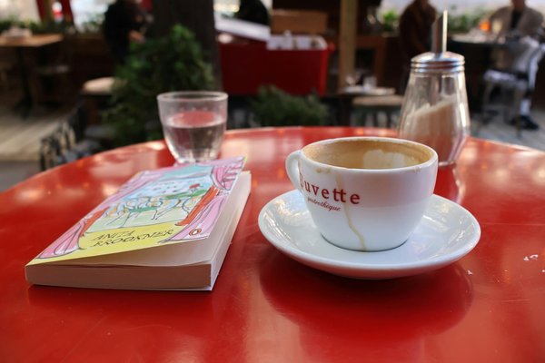 Come scegliere e posizionare correttamente le piante per un terrario domestico di grandi dimensioni?