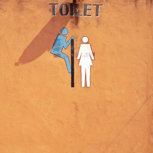 Come posso addestrare un cucciolo di razza Barboncino Toy a segnalare quando deve uscire per fare i bisogni?